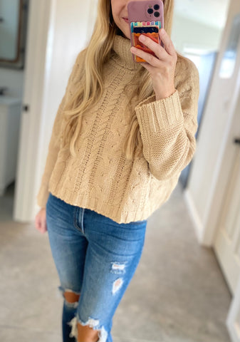 Turtleneck Cableknit Sweater