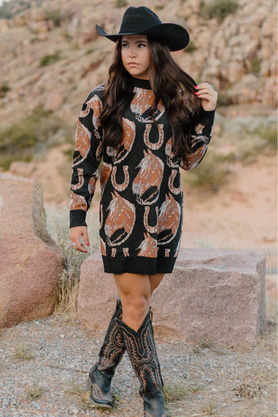 SK Montana Aztec  or Horseshoe Sweater Dress