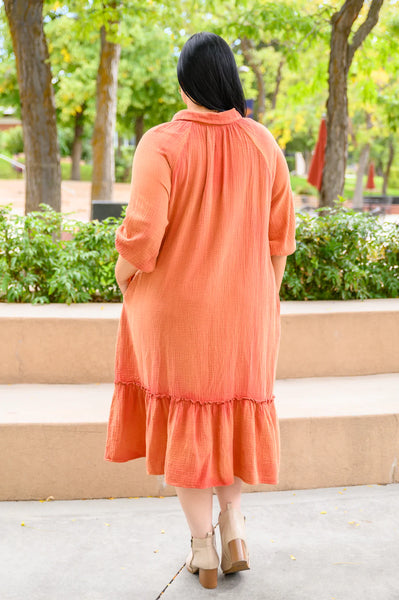 Stuck With You Vintage Overdye Dress In Rust